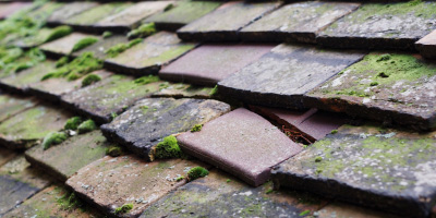 Severn Beach roof repair costs